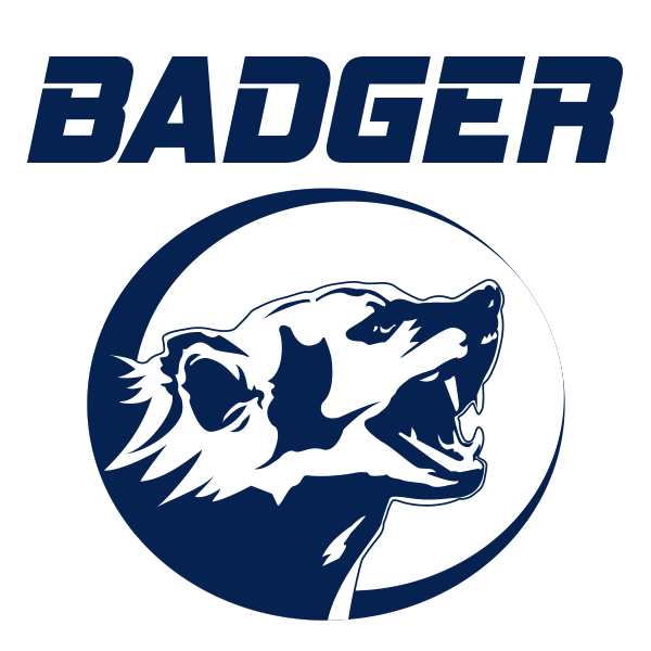 WILD BADGER POWER