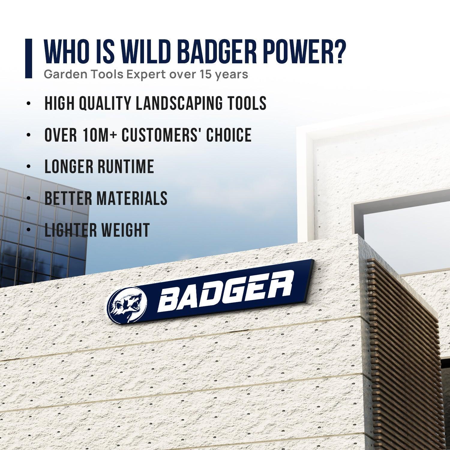 Wild Badger 26cc 17 in Weed Wacker l String Trimmer 3-in-1 Multi Lawn Care Tools - WILD BADGER POWER