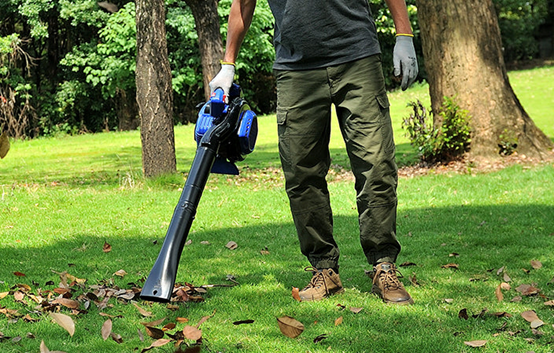 Electric leaf blower cleaning