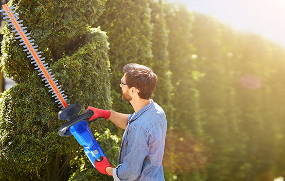 Tips for Achieving a Perfectly Manicured Garden with a Hedge Trimmer - WILD BADGER POWER