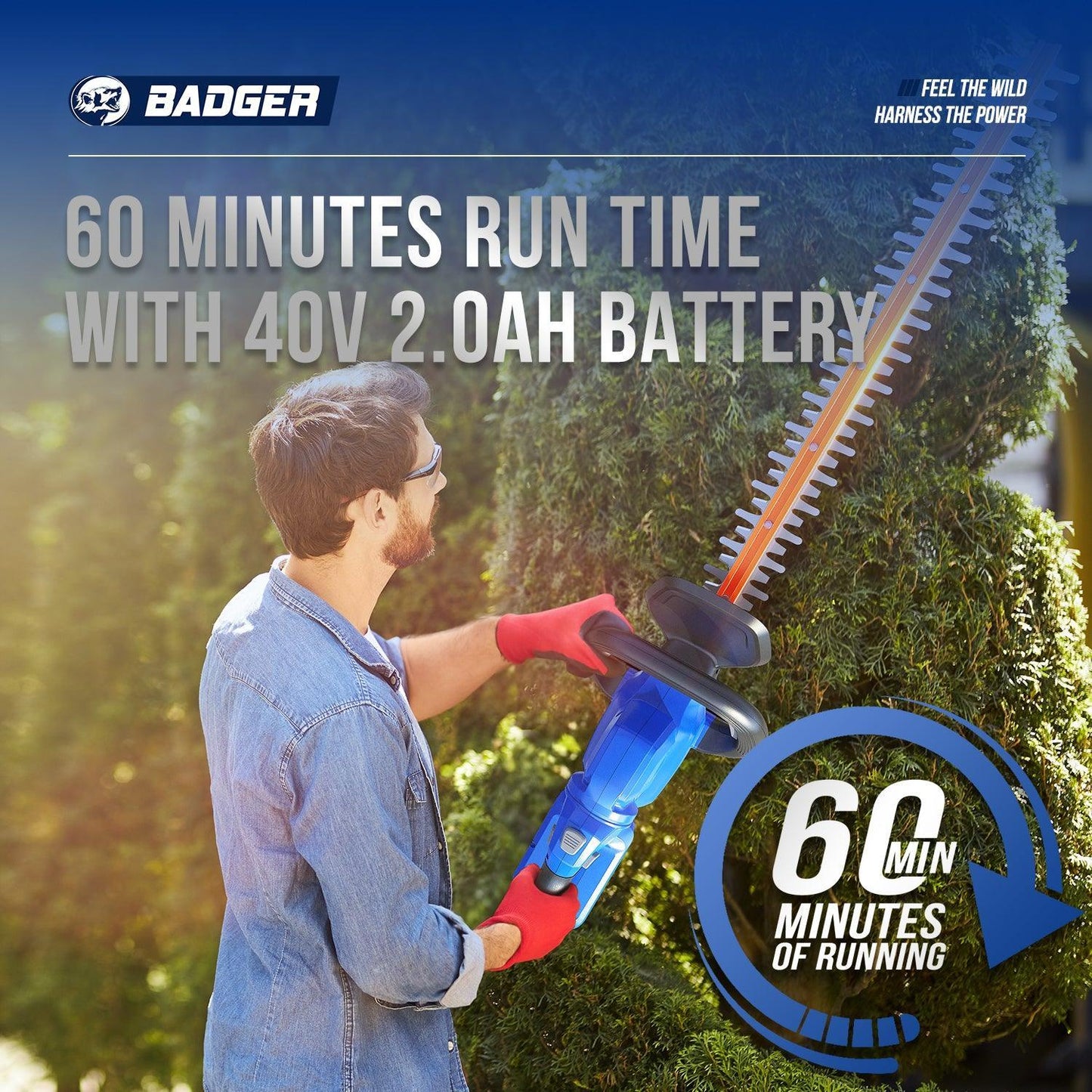 cordless hedge trimmer