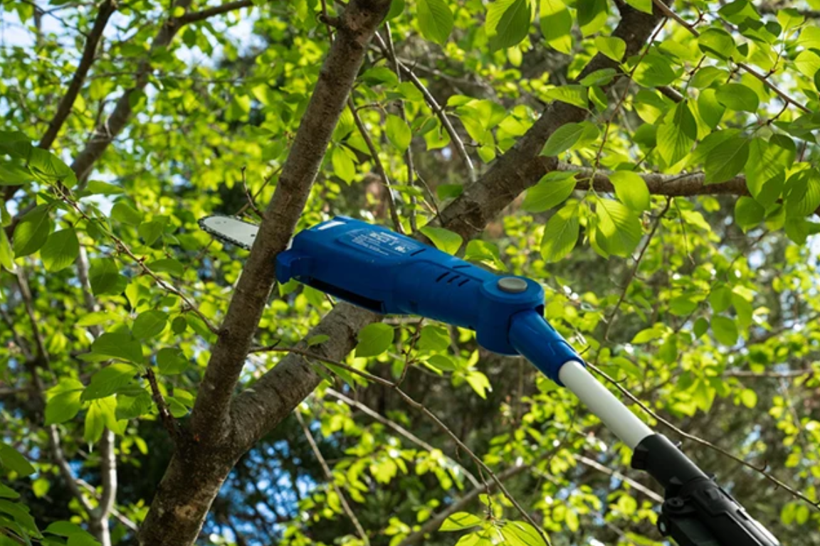 Electric Pole Saw Buying Guide: How to Choose Reach, Bar and Power