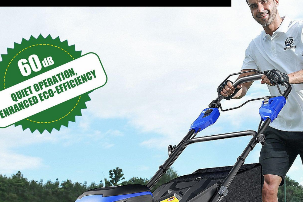 Expert Lawn Care Tips for a Luscious and Healthy Lawn - WILD BADGER POWER