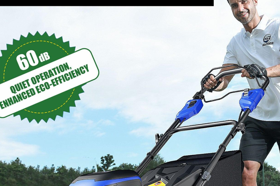 Expert Lawn Care Tips for a Luscious and Healthy Lawn - WILD BADGER POWER